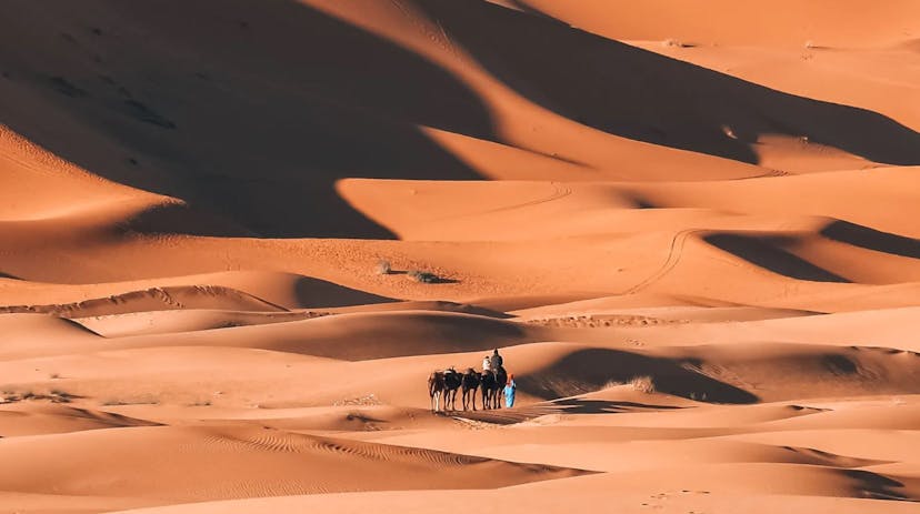 Merzouga woestijn in Marokko met kamelen