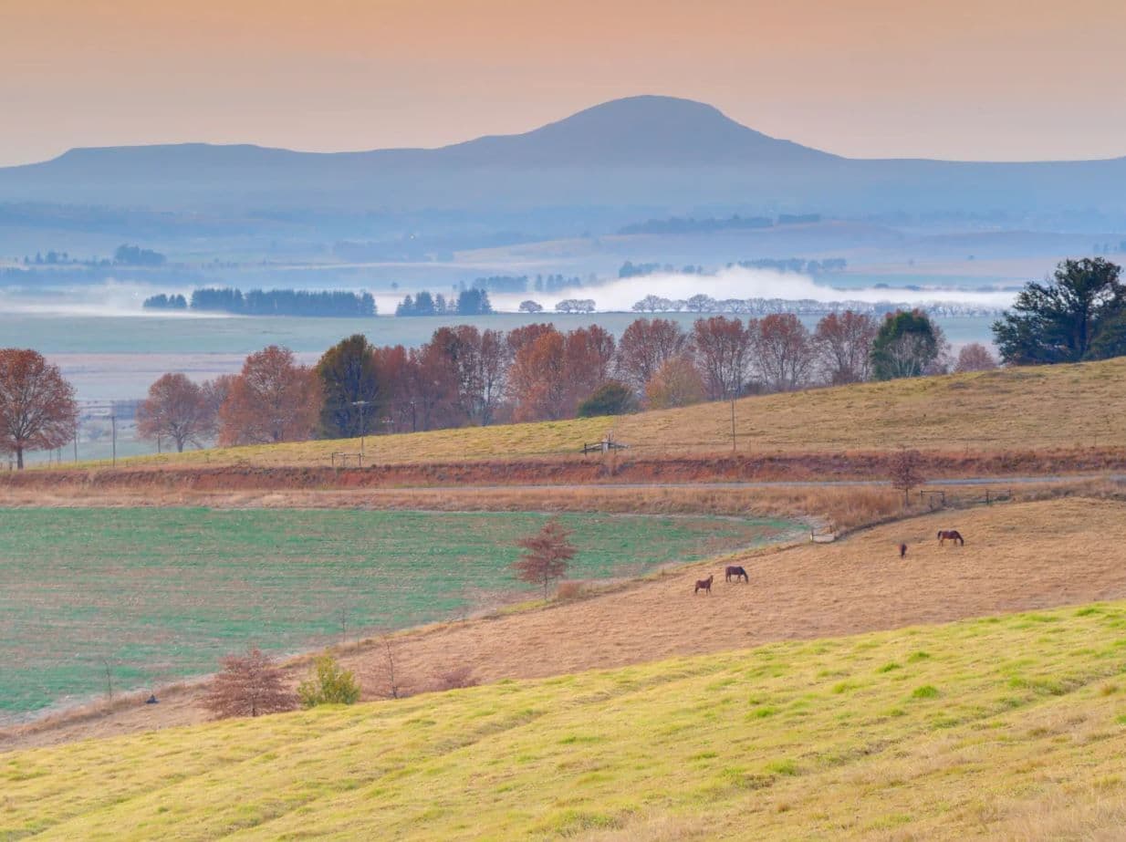 Underberg