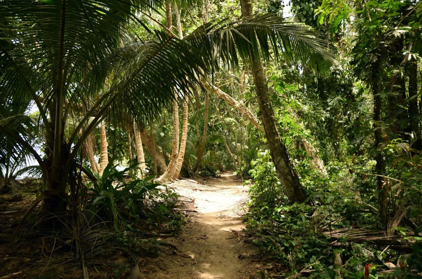 Tortuguero