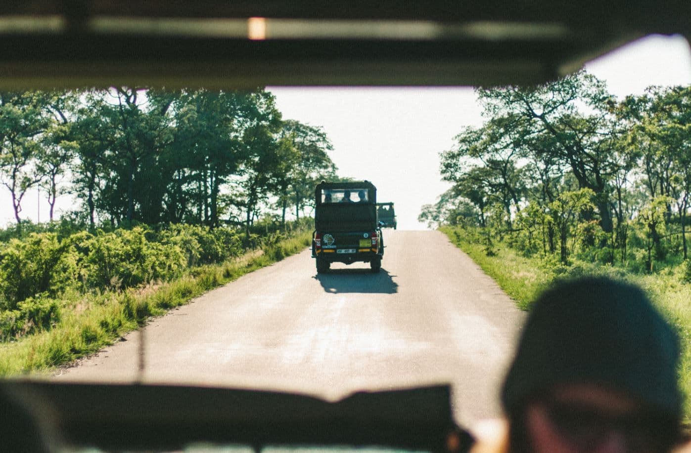 Safari avontuur Zuid-Afrika