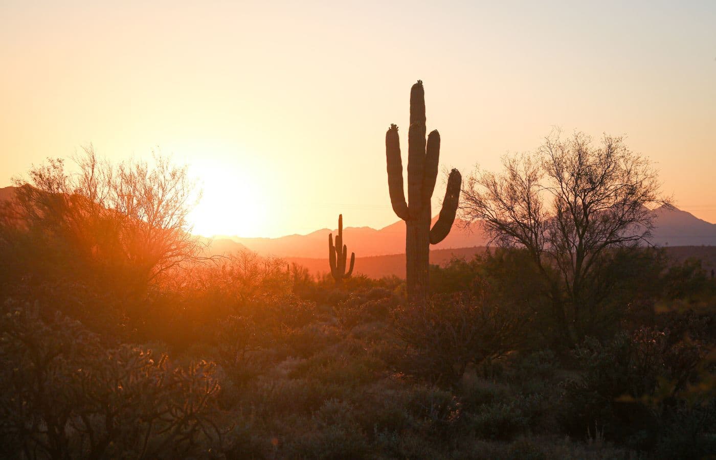 From Desert Landscape To Golden Gate