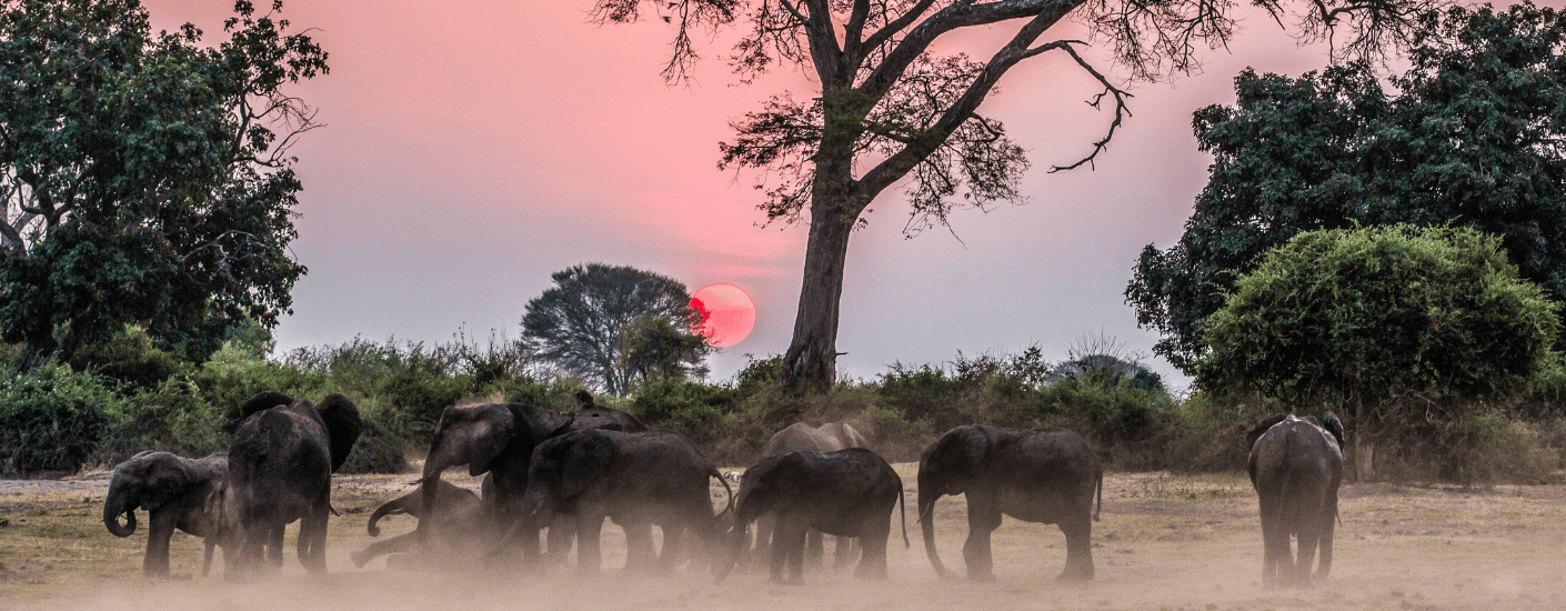 Namibia en Botswana