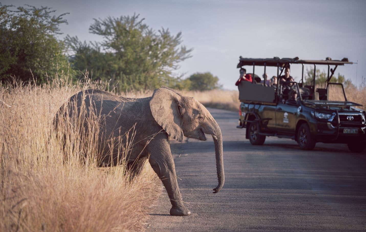 ZuidAfrika rondreizen Footprint Travel