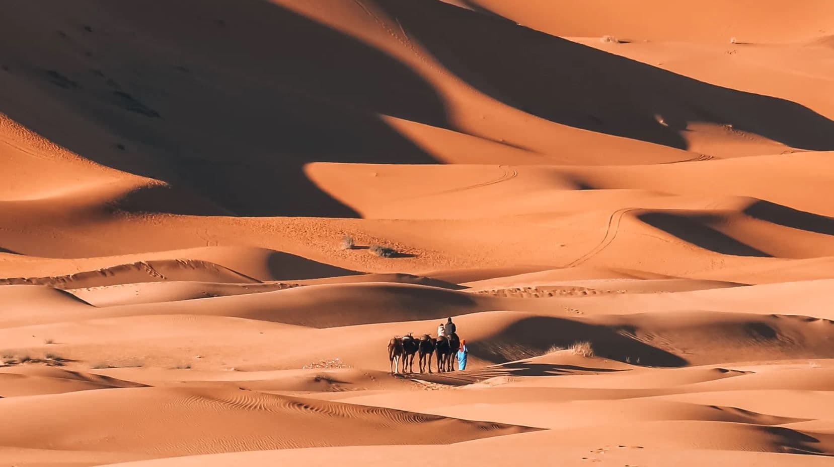 Erg Chebbi woestijn