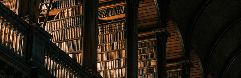 activiteit in dublin de bibliotheek bezoeken
