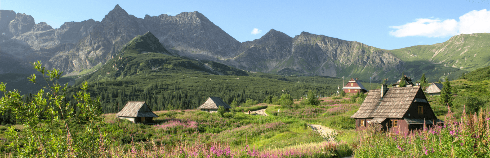 Roadtrip door het hart van Centraal-Europa