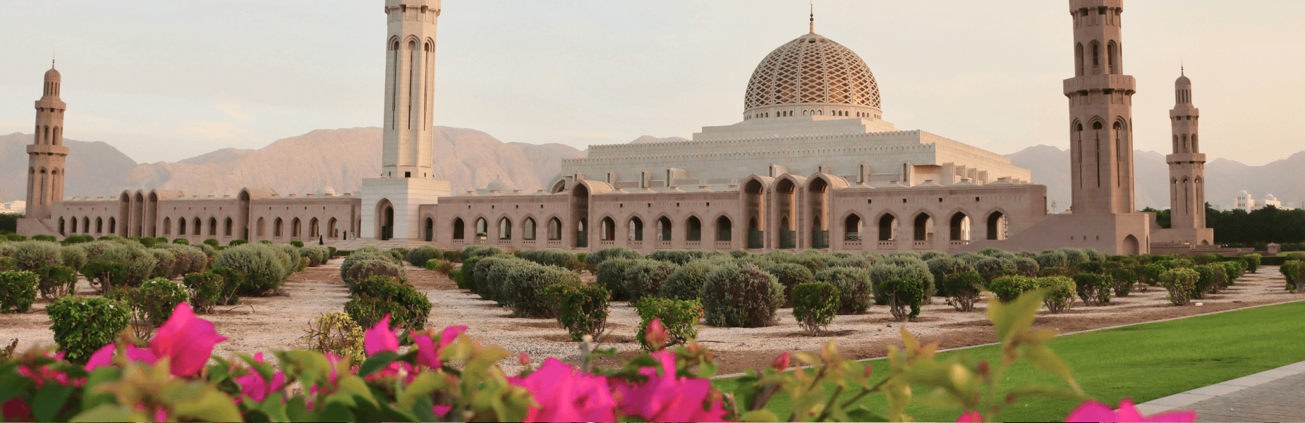moskee in muscat oman met bloemen op de voorgrond