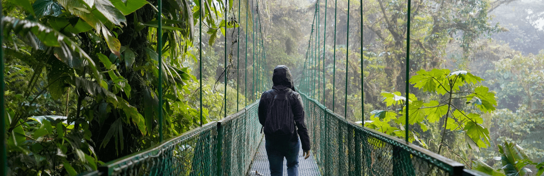 Man loopt over een hangbrug in Costa Rica