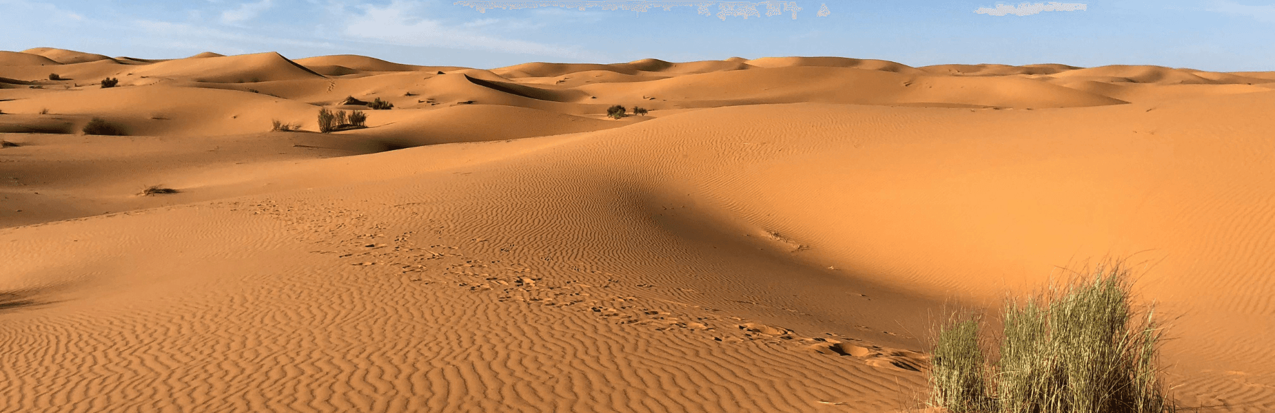 egypte woestijn met blauwe lucht