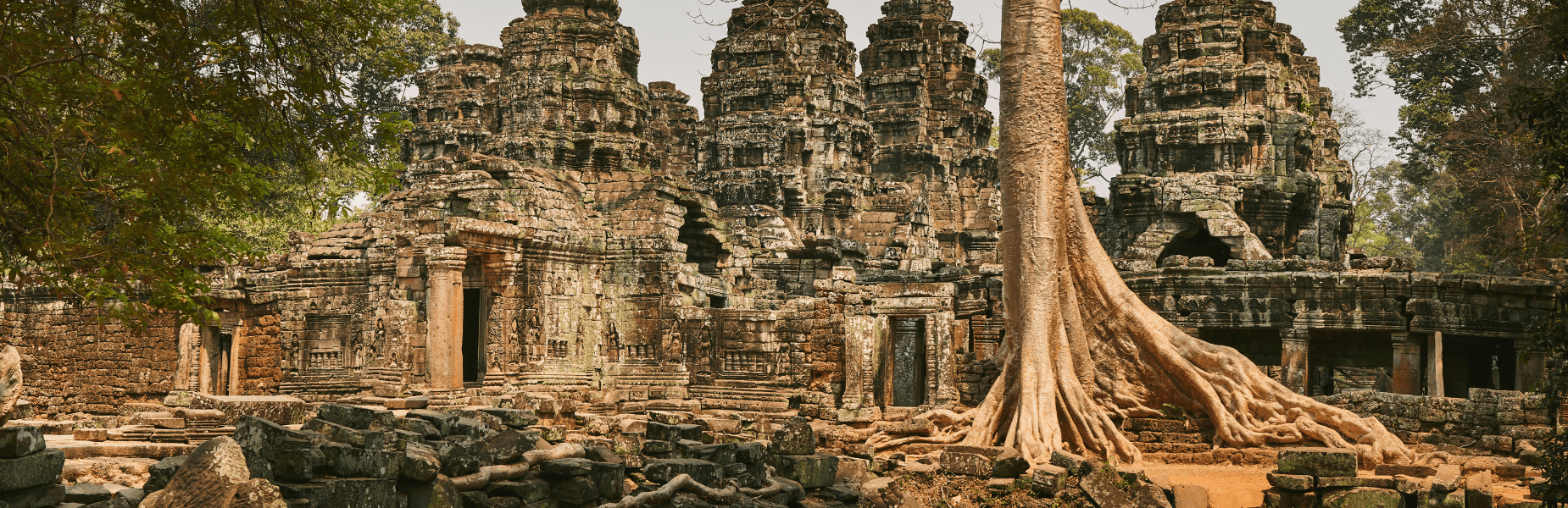 tempel in angkor wat