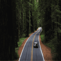 auto die door de bossen heen rijdt