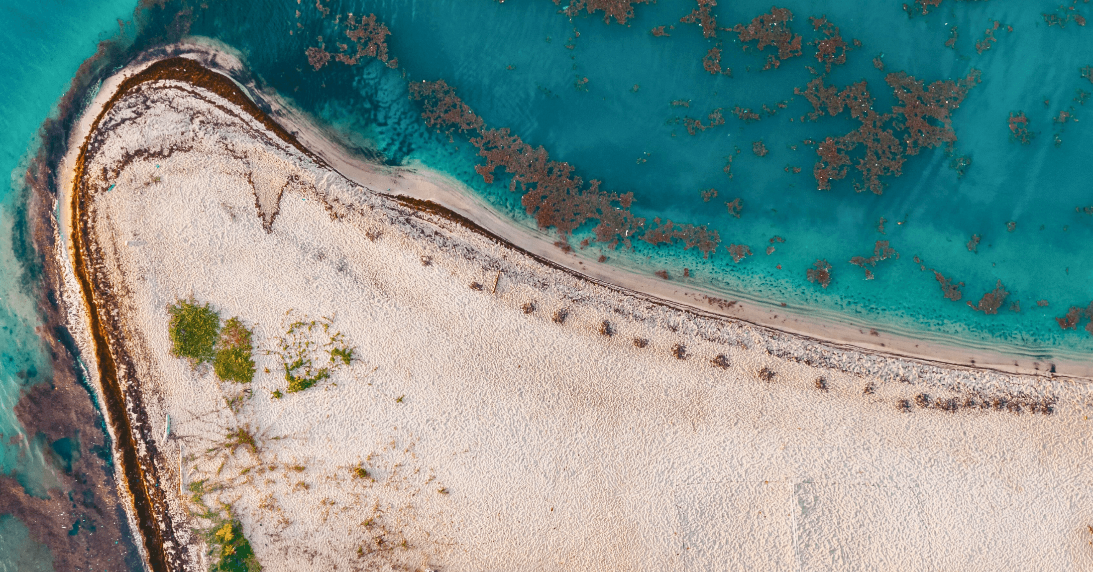 Strand met blauw water