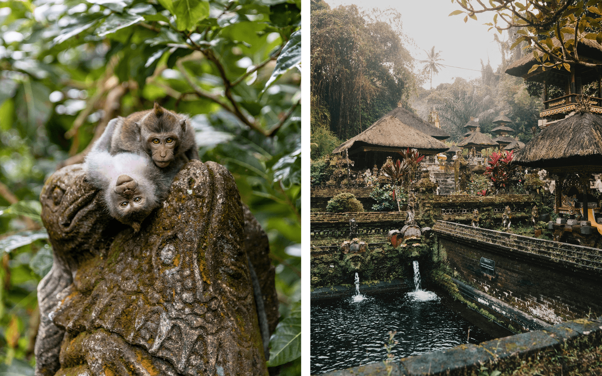 Ubud