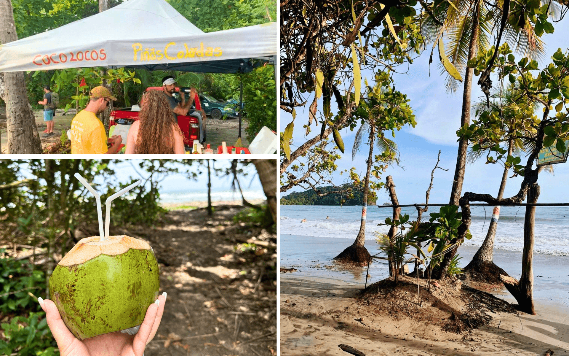 Manuel Antonio