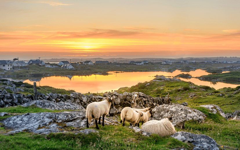 Connemara uitzicht (Clifden)