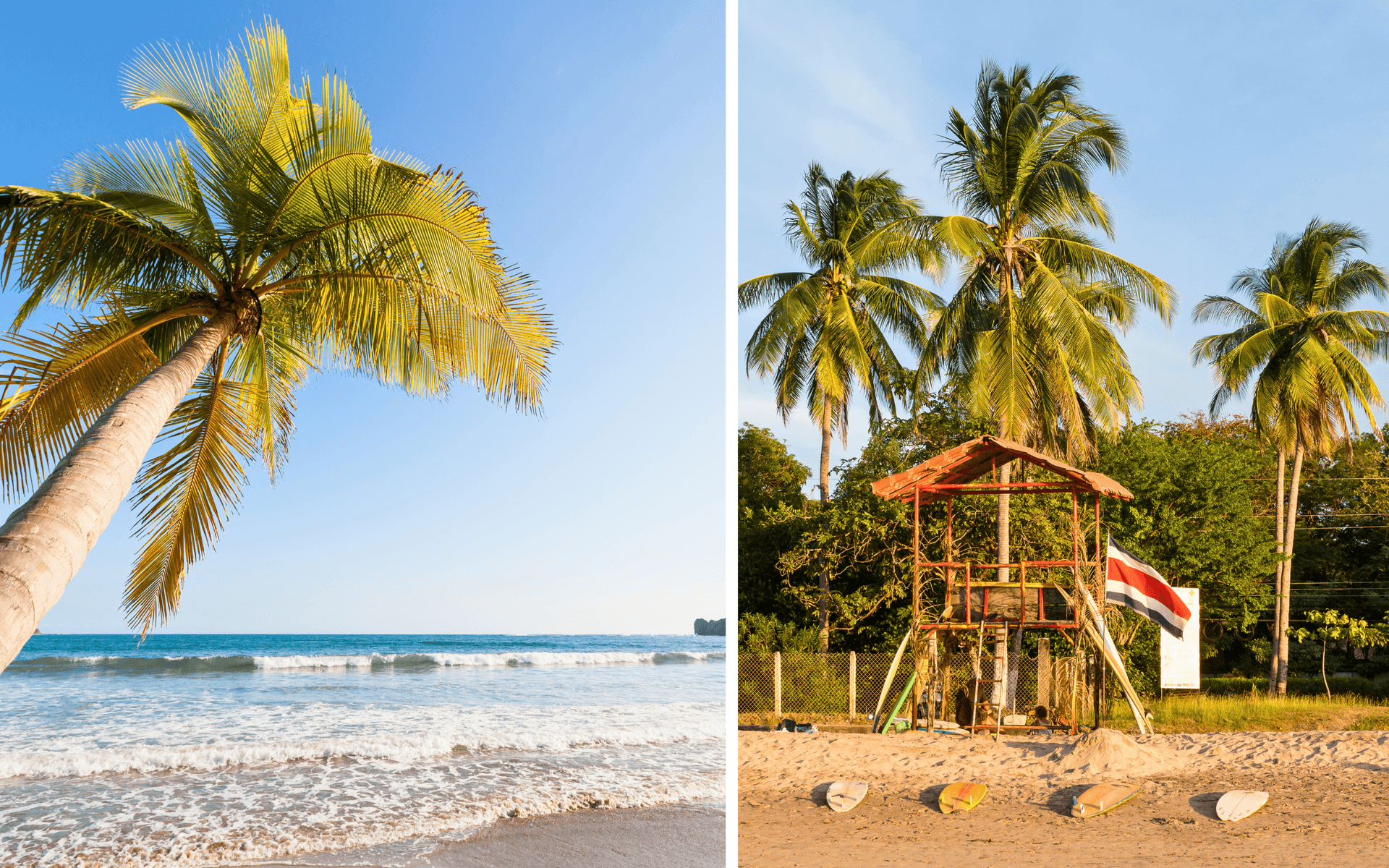 Tamarindo