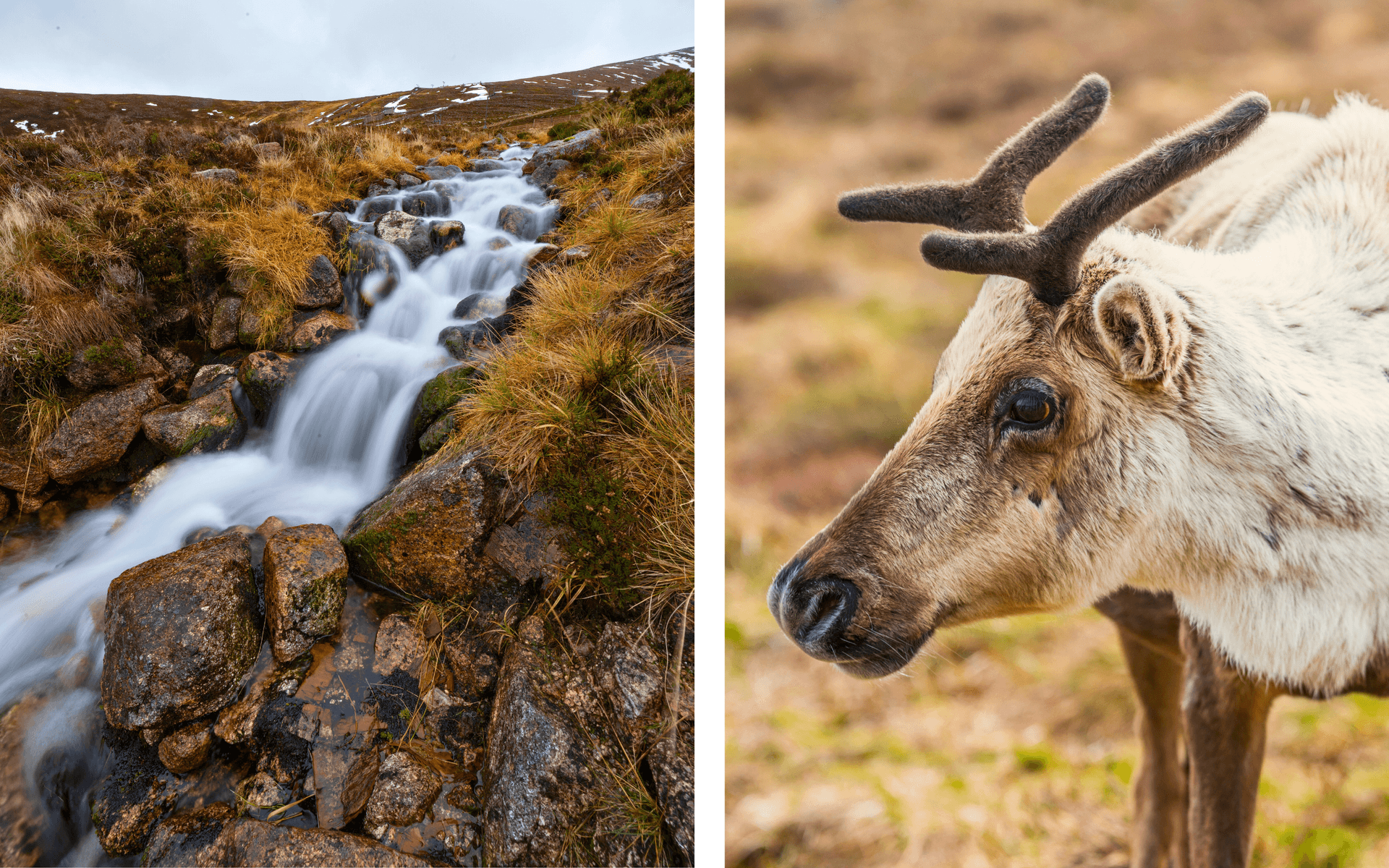 Cairngorms National Park