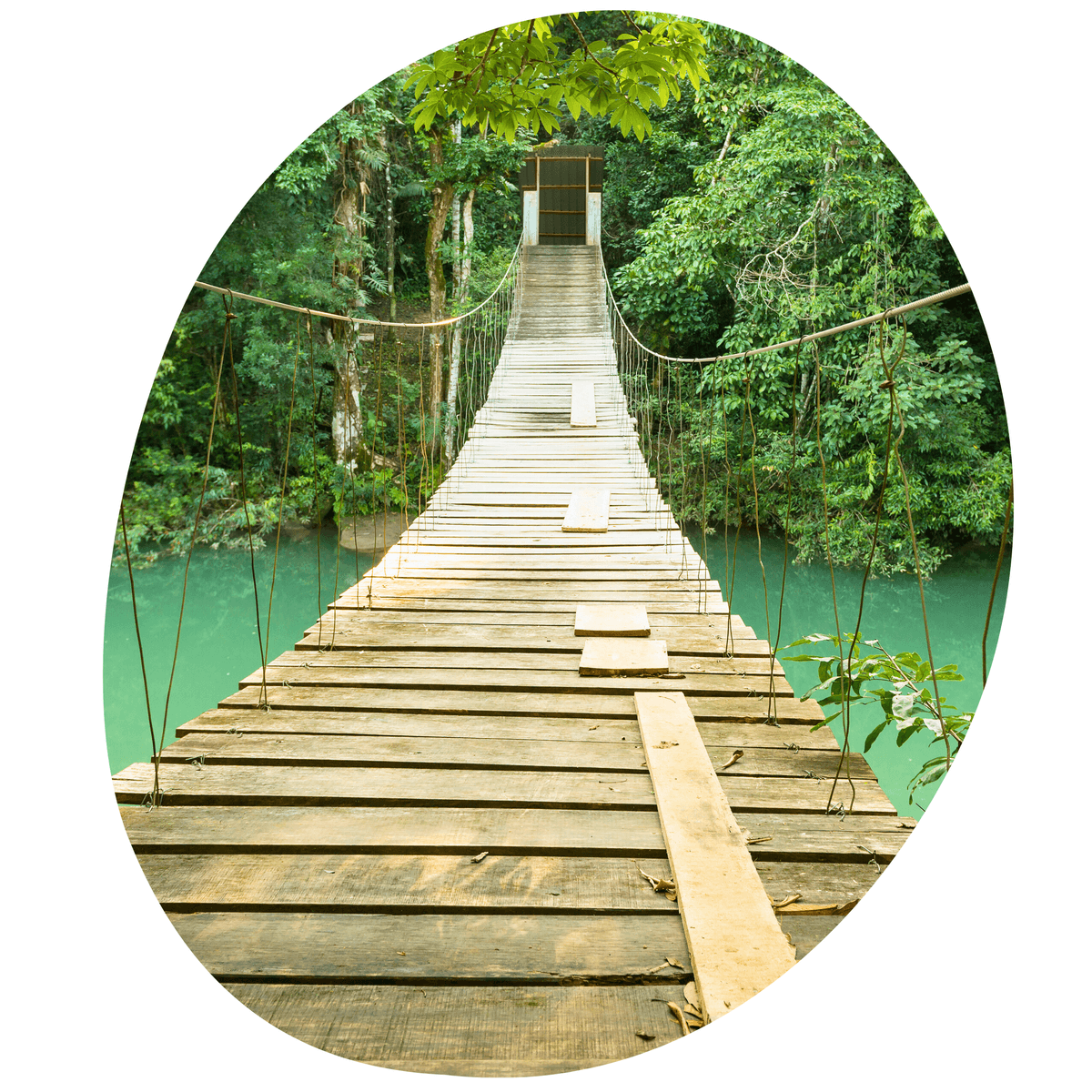 Hangbrug in Belize