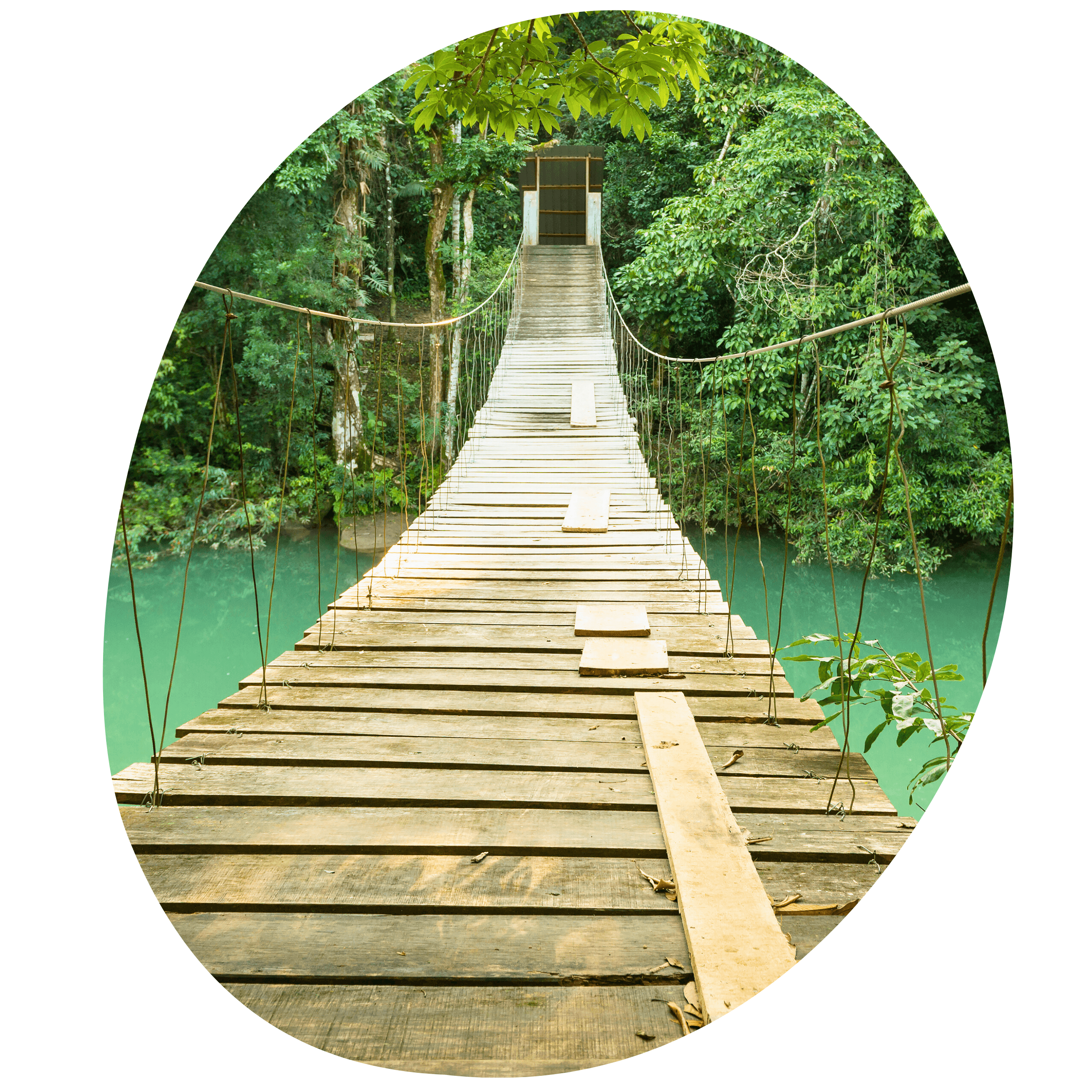 Hangbrug in Belize