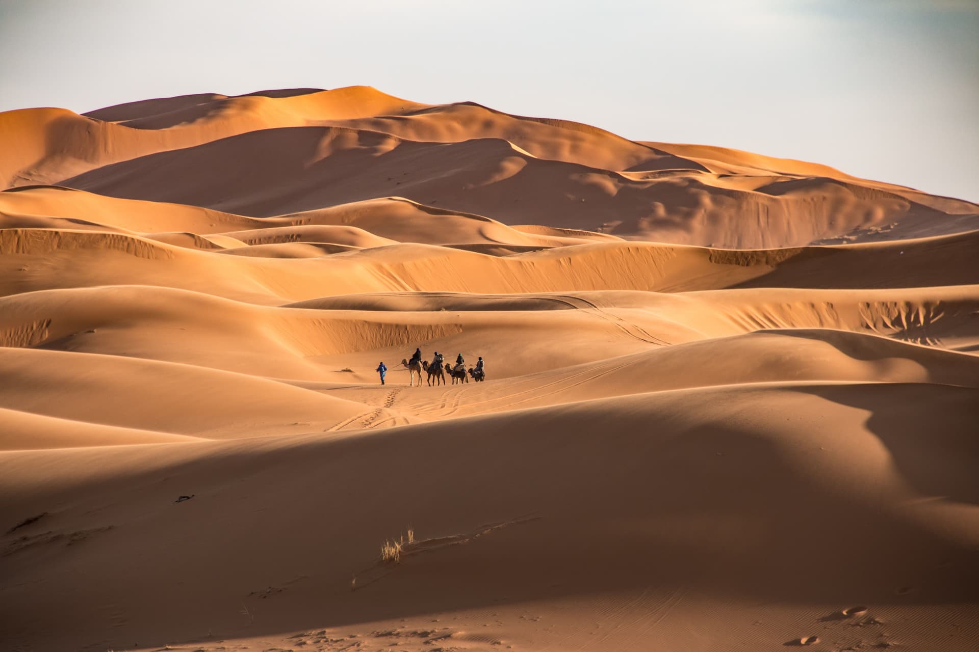 Erg Chebbi woestijn