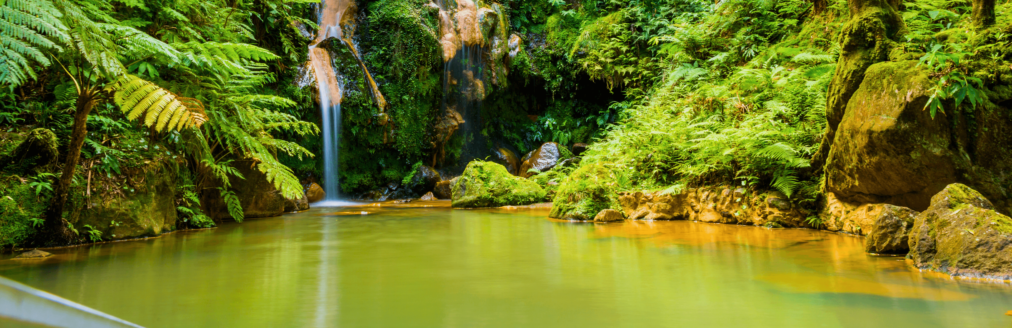 Caldeira Velha in Sao Miguel