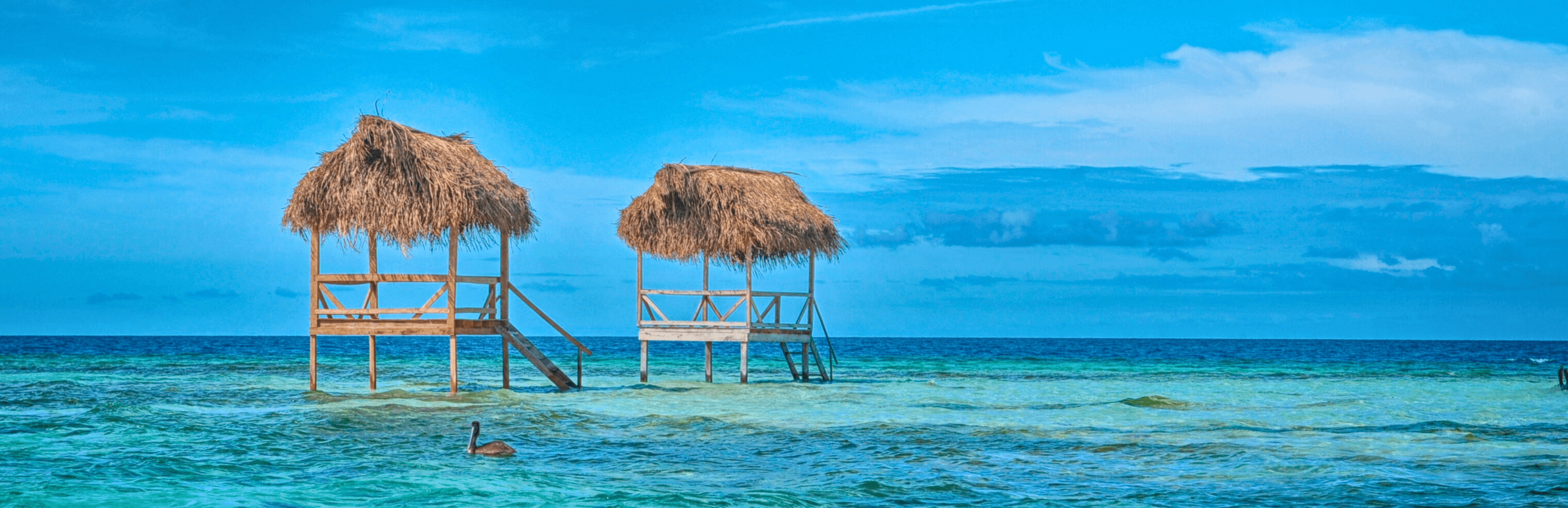 Zee in Belize
