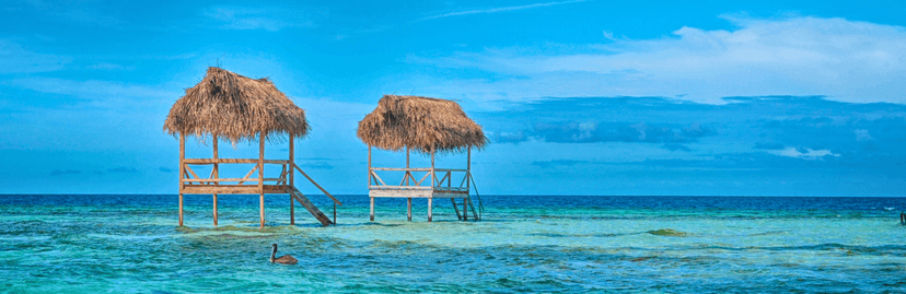 Zee in Belize