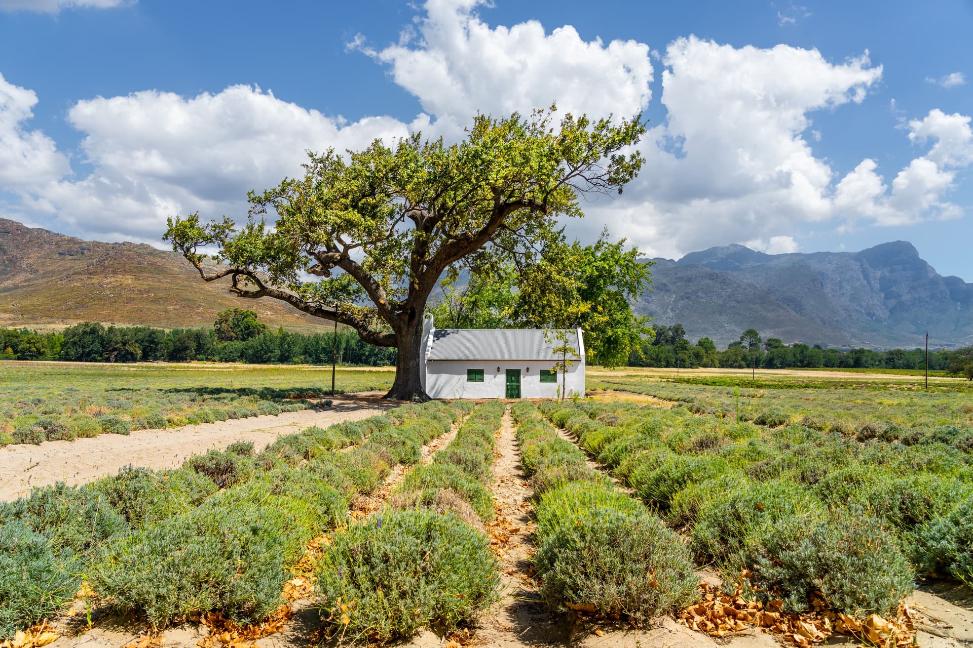 Franschhoek