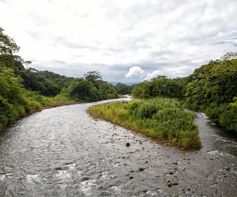 Sarapiquí