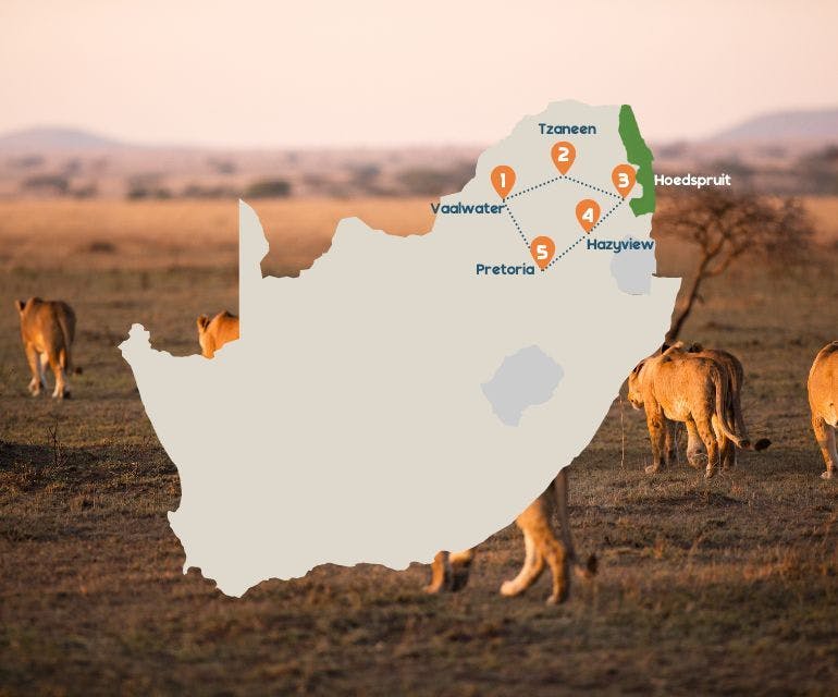 Slow Travel reisroutekaartje Zuid-Afrika mobile