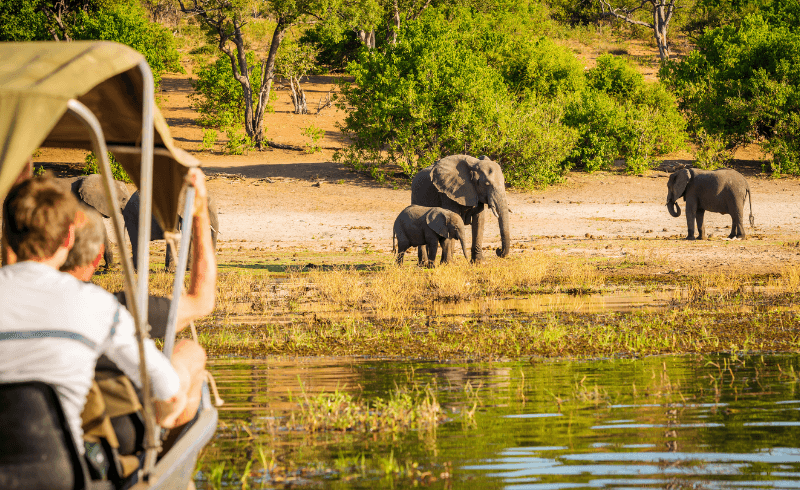 Addo National Park