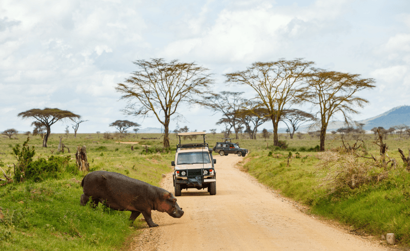 Pongola Game Reserve