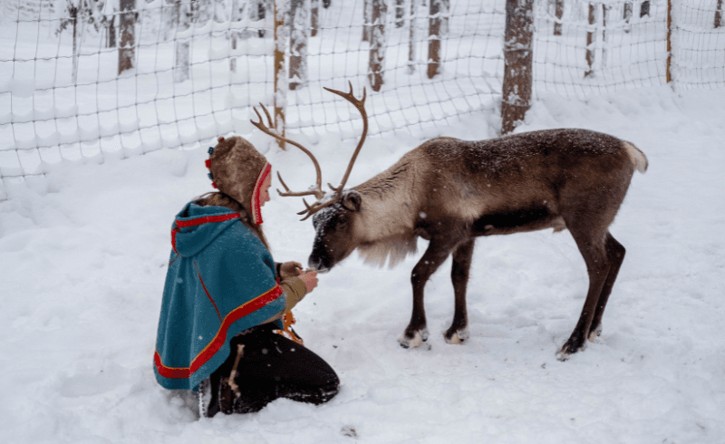 Sami culturele tour