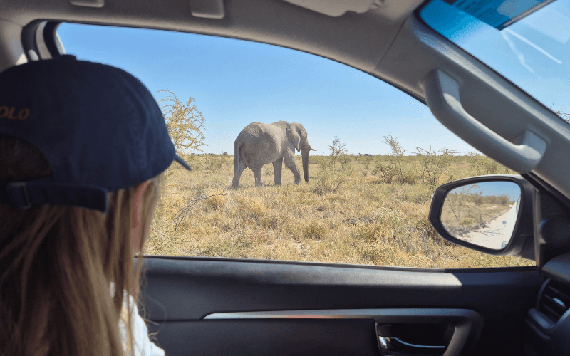 Etosha National Park