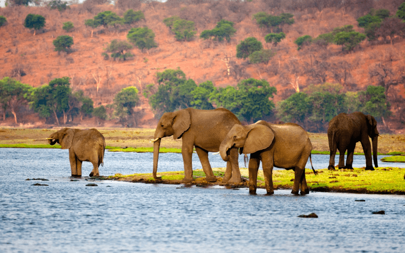 Bucketlistreis Namibië en Botswana