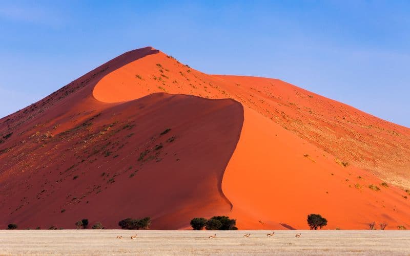 Sossusvlei