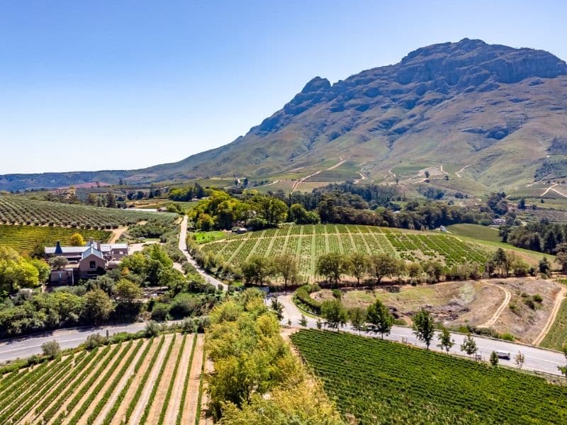 Stellenbosch