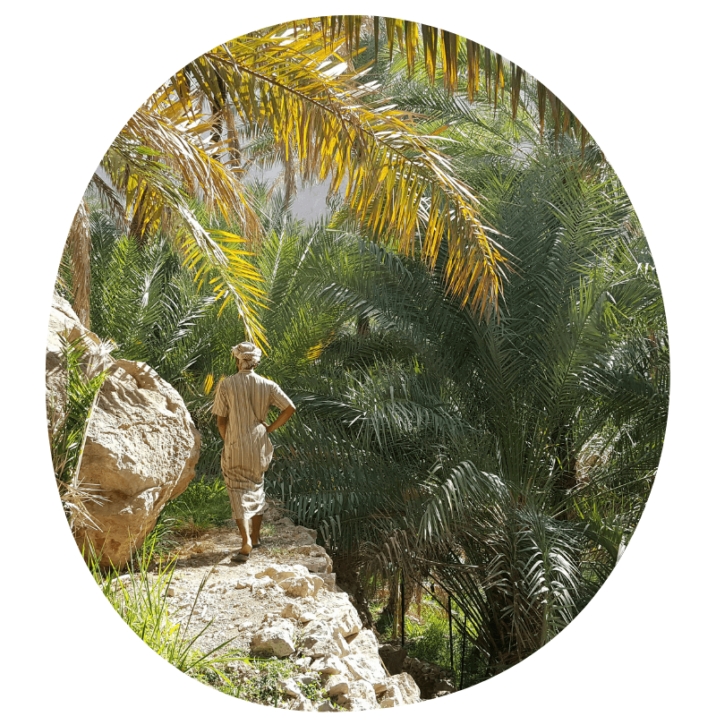 Natuur van Oman groen
