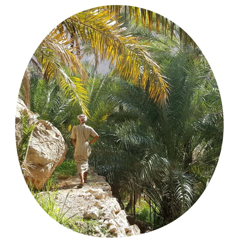 Natuur van Oman groen