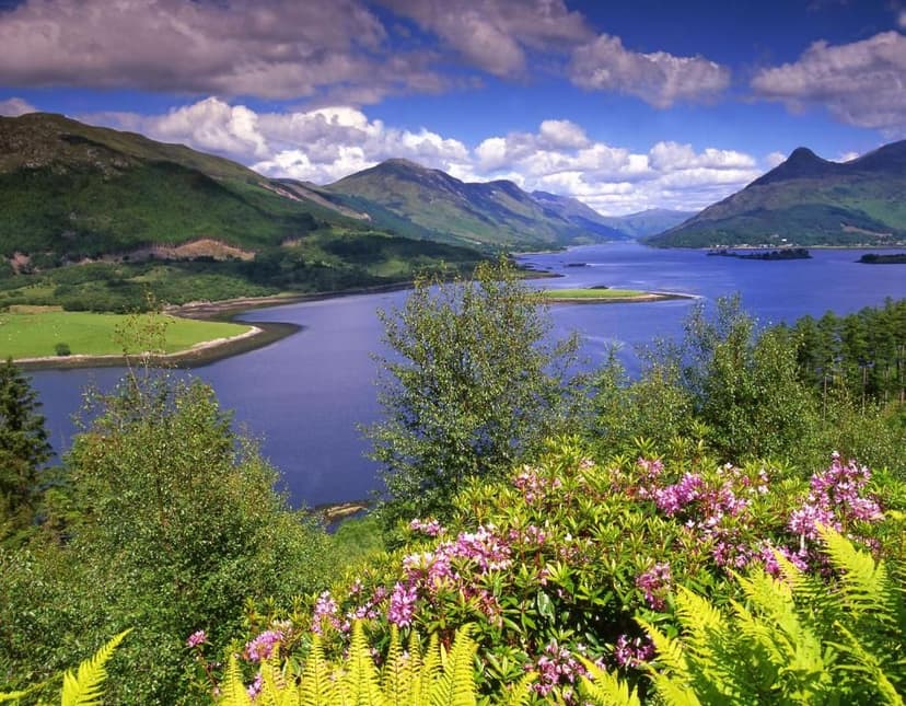 Uitzicht vanuit the Glencoe Inn