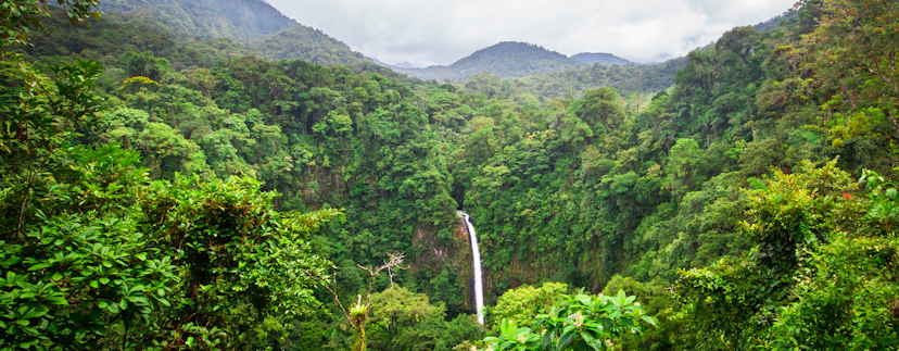 Een waterval in de verte, in het midden van een grote jungle. In de verte zijn hoge begroeide bergen en mistige wolken te zien.