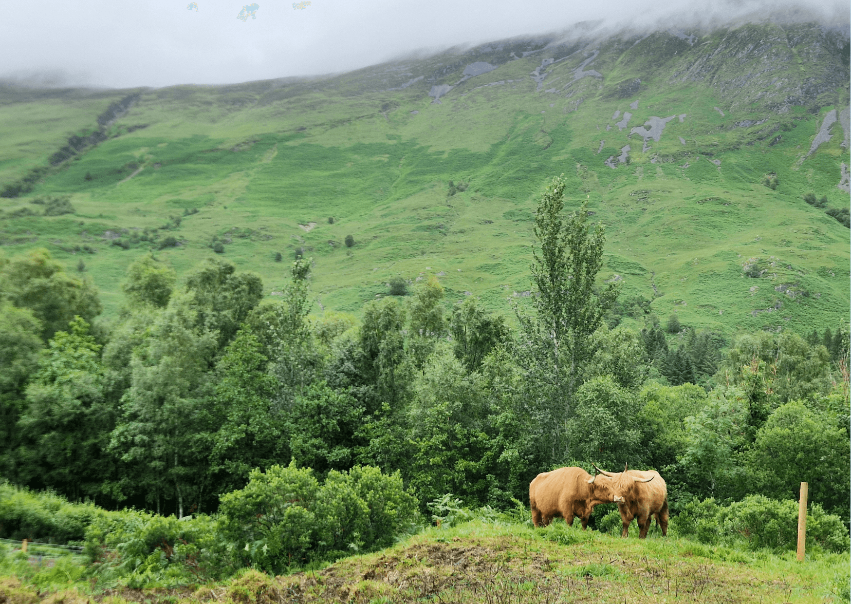 De Schotse Hooglanden