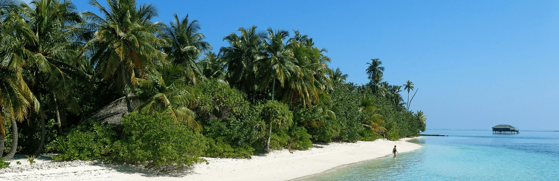 prachtig strand met blauw zee water
