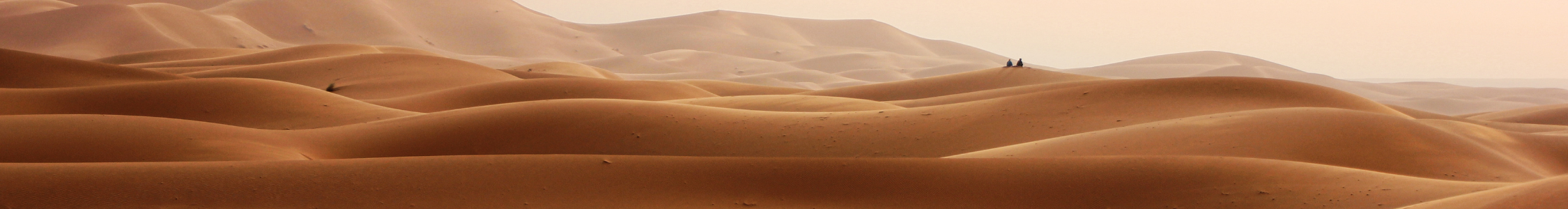 Panorama foto uitgestrekte woestijn