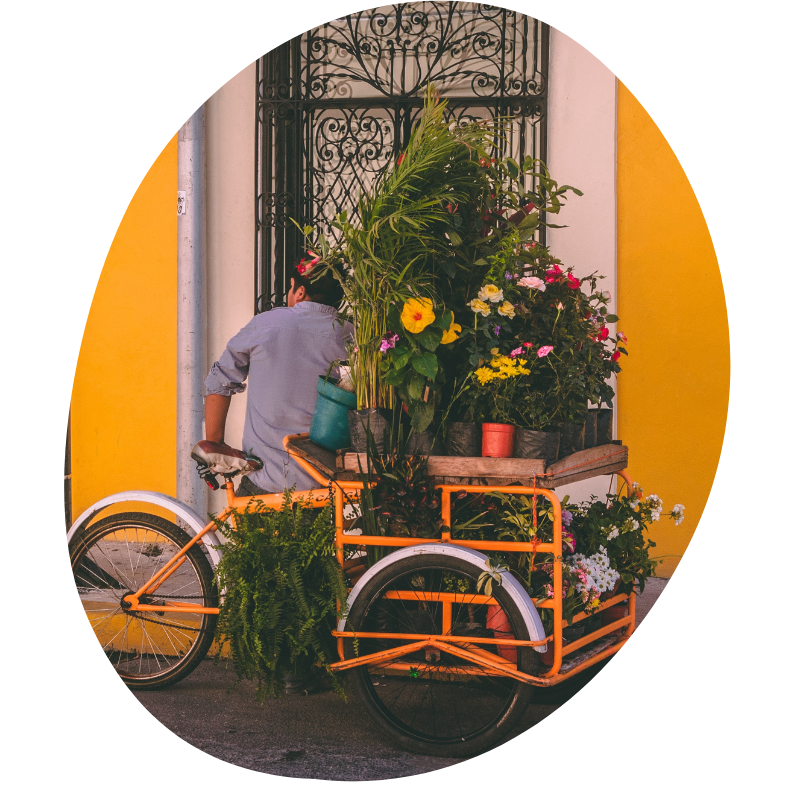 gekleurde fiets met bloemen